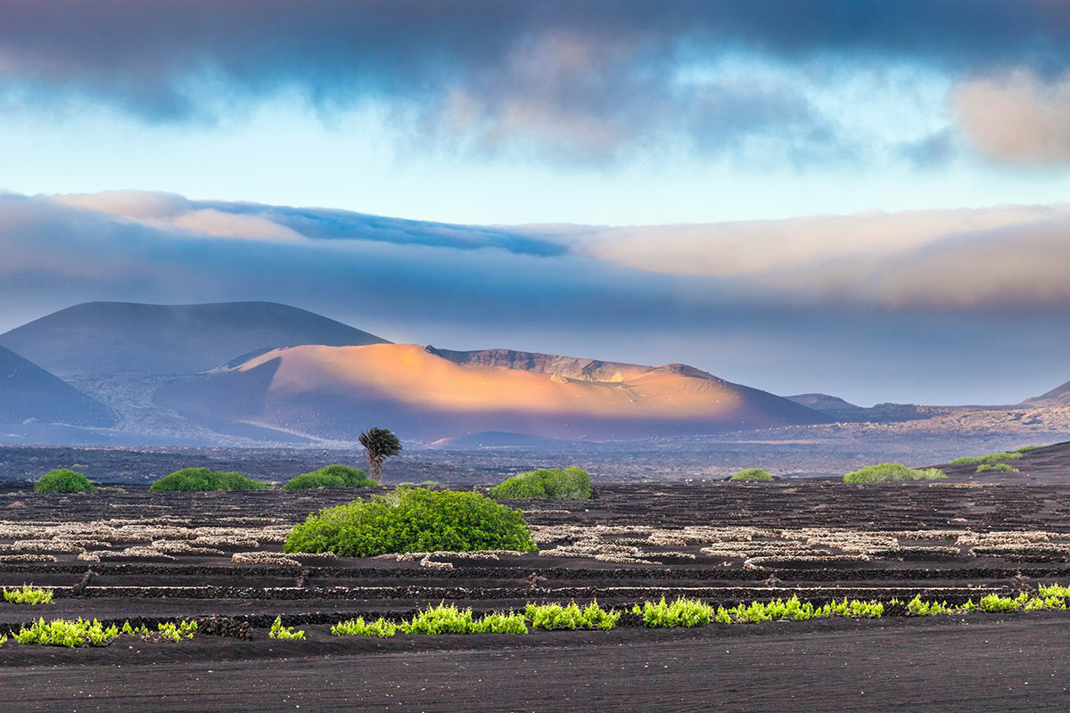 Lanzarote