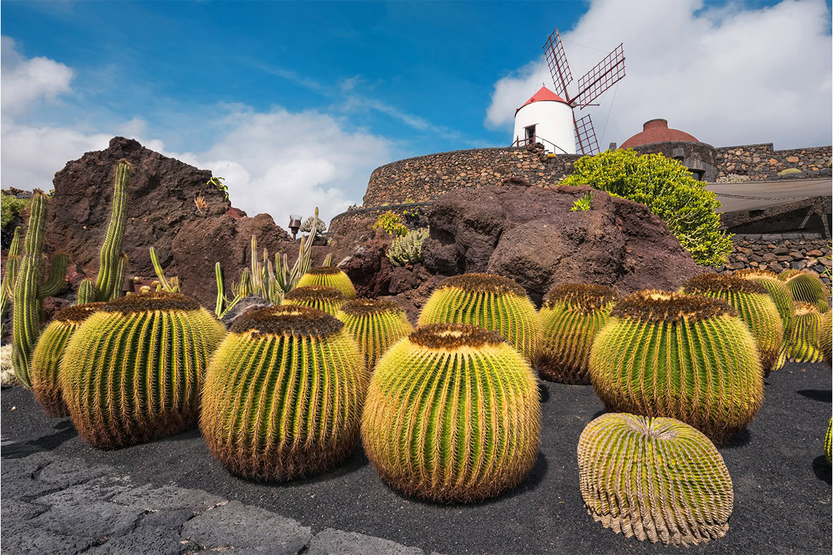 Lanzarote