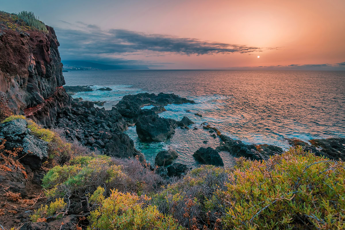 Tenerifi