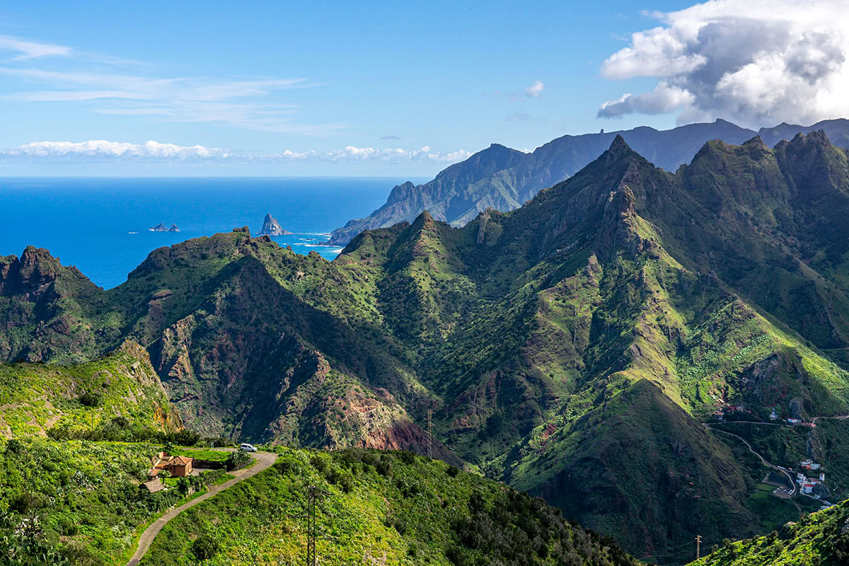 Tenerifi