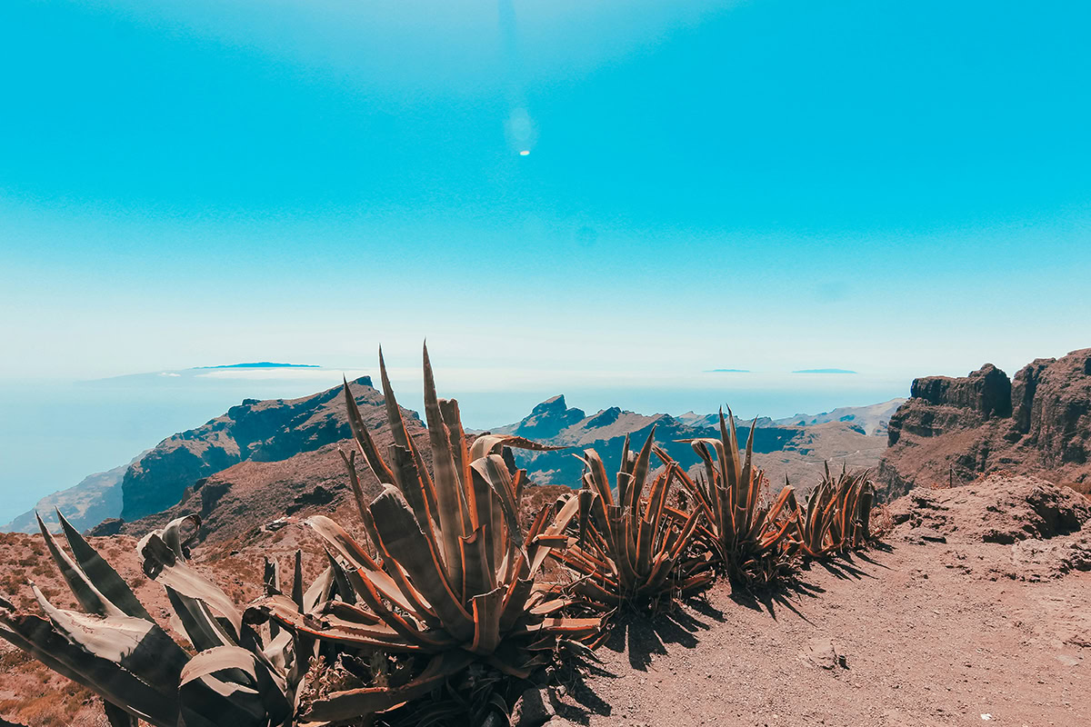 Tenerifi
