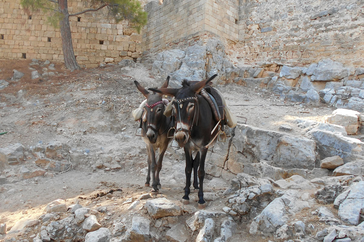 Rodos
